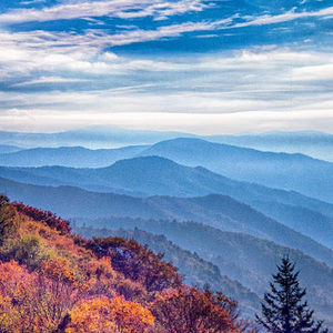 Meet your Posher, Alan